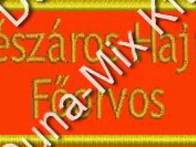 Hz. névkitűző - OMSZ tépőzáras